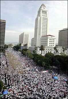www.indian-american.org